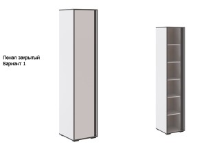 Пенал закрытый Асцелла  2200х450х450 (ВхШхГ)